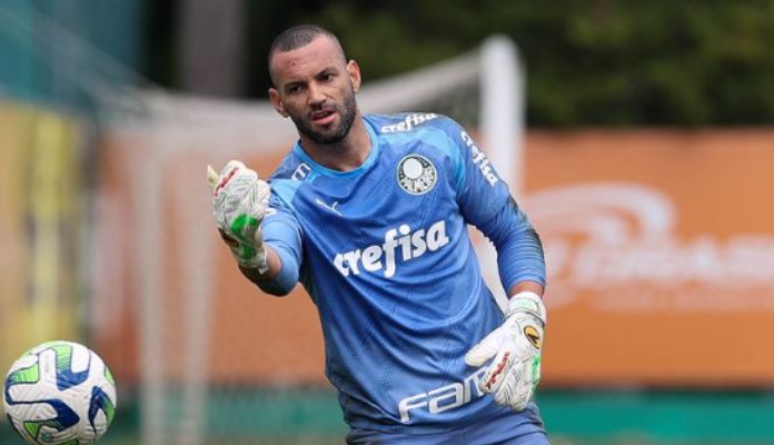 Palmeiras encara o Grêmio pensando no título do Brasileirão