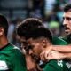 Sporting é o novo líder do Campeonato Português após vitória em casa